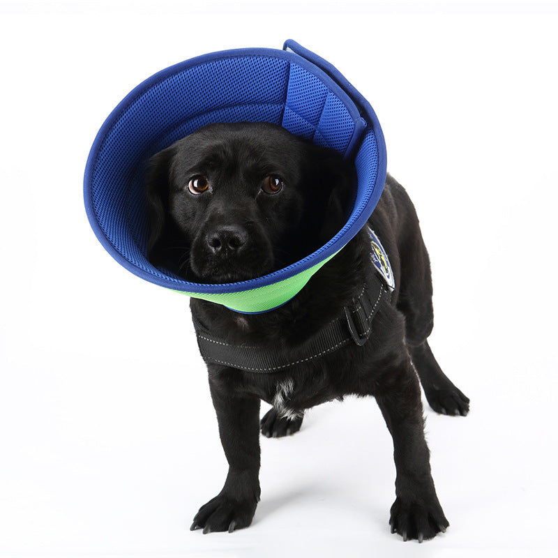 Dog Anti-bite Medical Recovery Collar