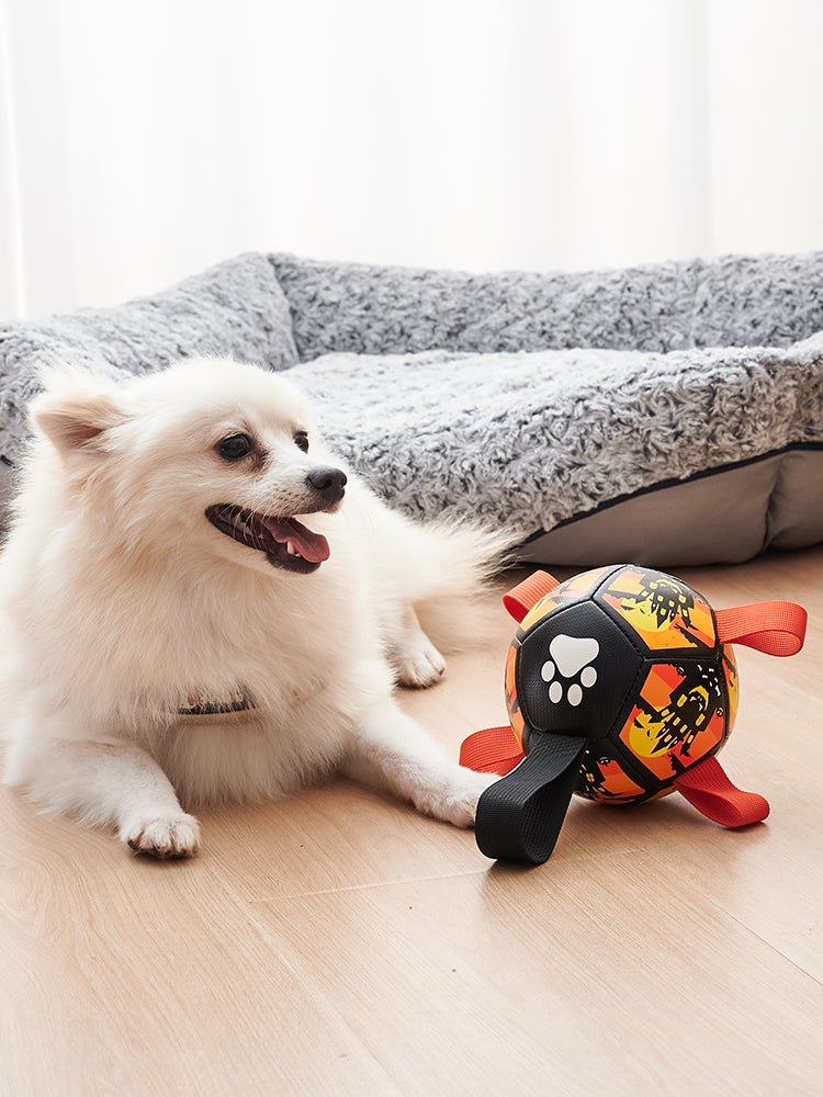 Dog Soccer Ball Interactive Toy