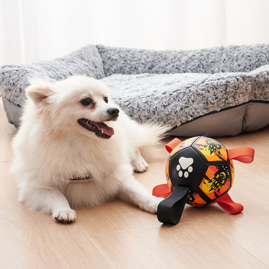 Dog Soccer Ball Interactive Toy