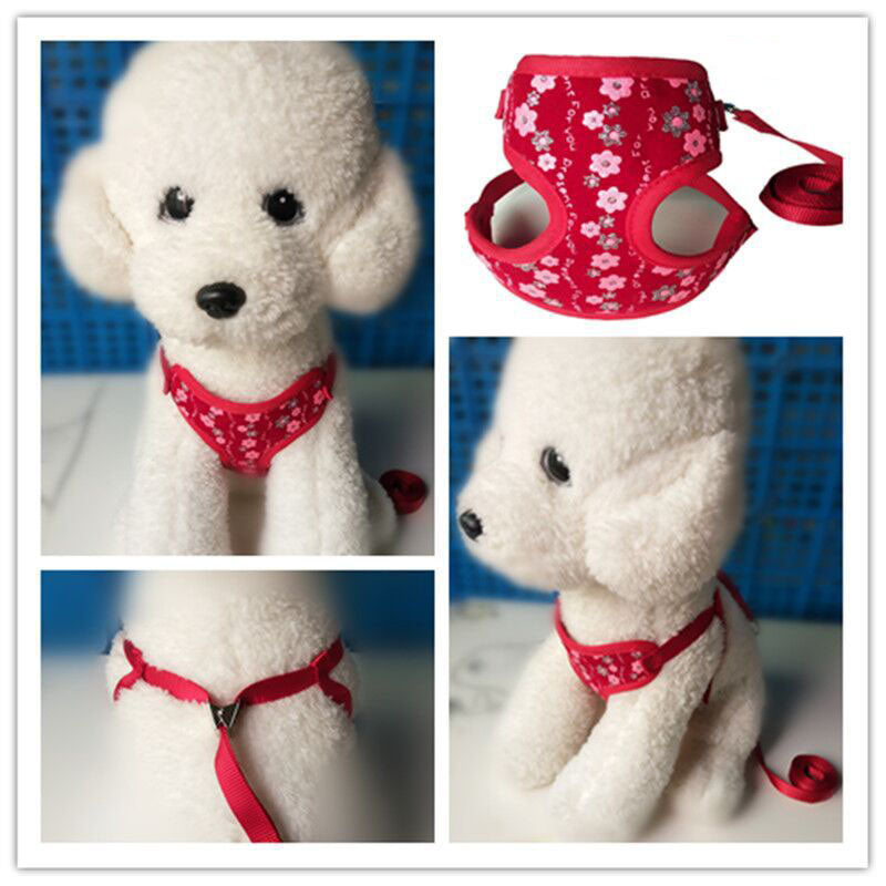 Cute Puppy Harness With Lead