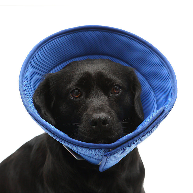 Dog Anti-bite Medical Recovery Collar