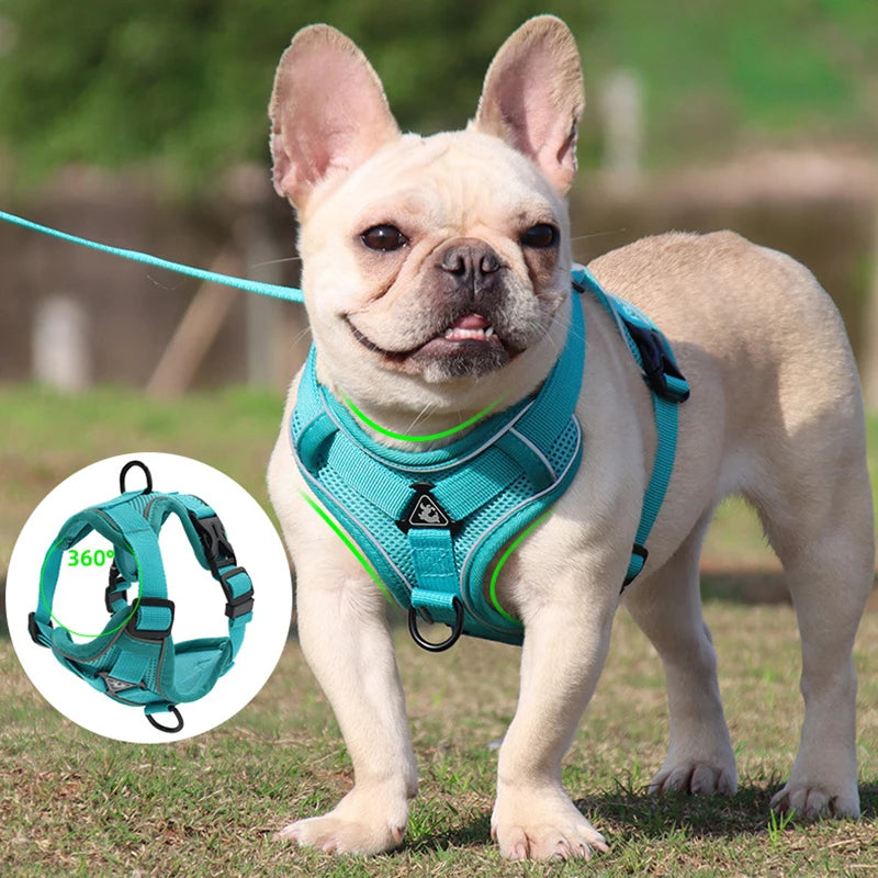 Pup Harness Vest