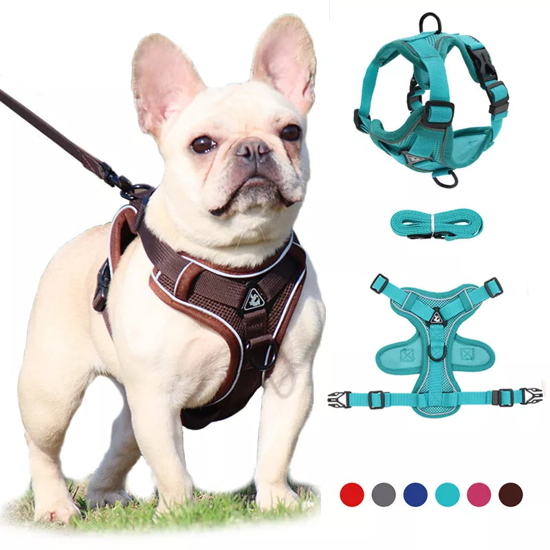 Pup Harness Vest