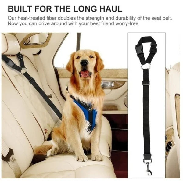 Pup Cruising Belt