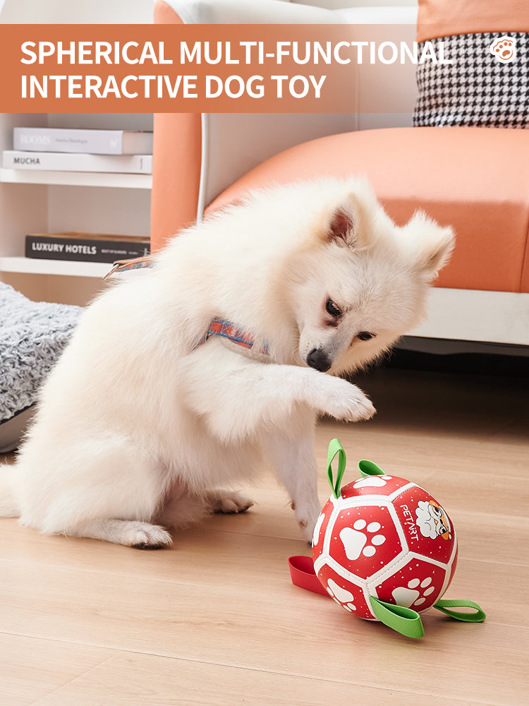 Dog Soccer Ball Interactive Toy